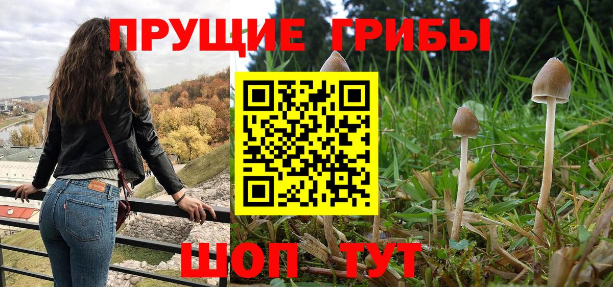 Галлюциногенные грибы ЛСД  Вход с VPN  как найти закладки  Псилоцибиновые грибы мухоморы  Астрахань 