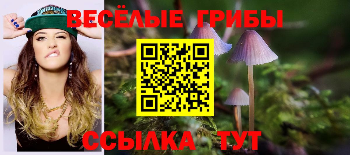Галлюциногенные грибы прущие грибы Астрахань